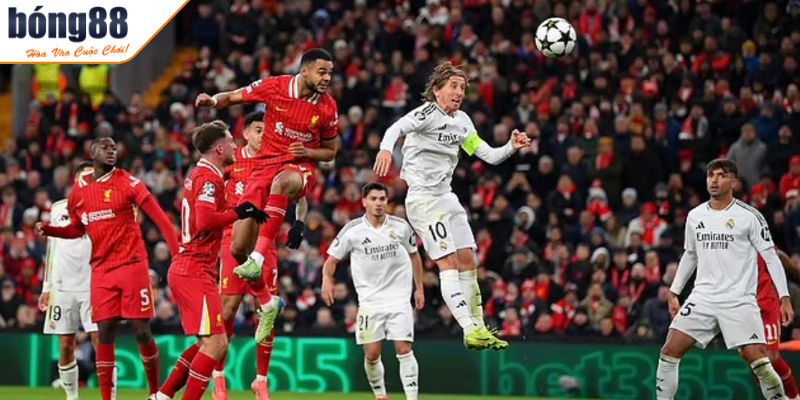 Chi tiết cách xem KQBD tại BONG88 cho người mới