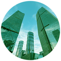 Quá trình phát triển